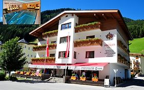 Haus Passler